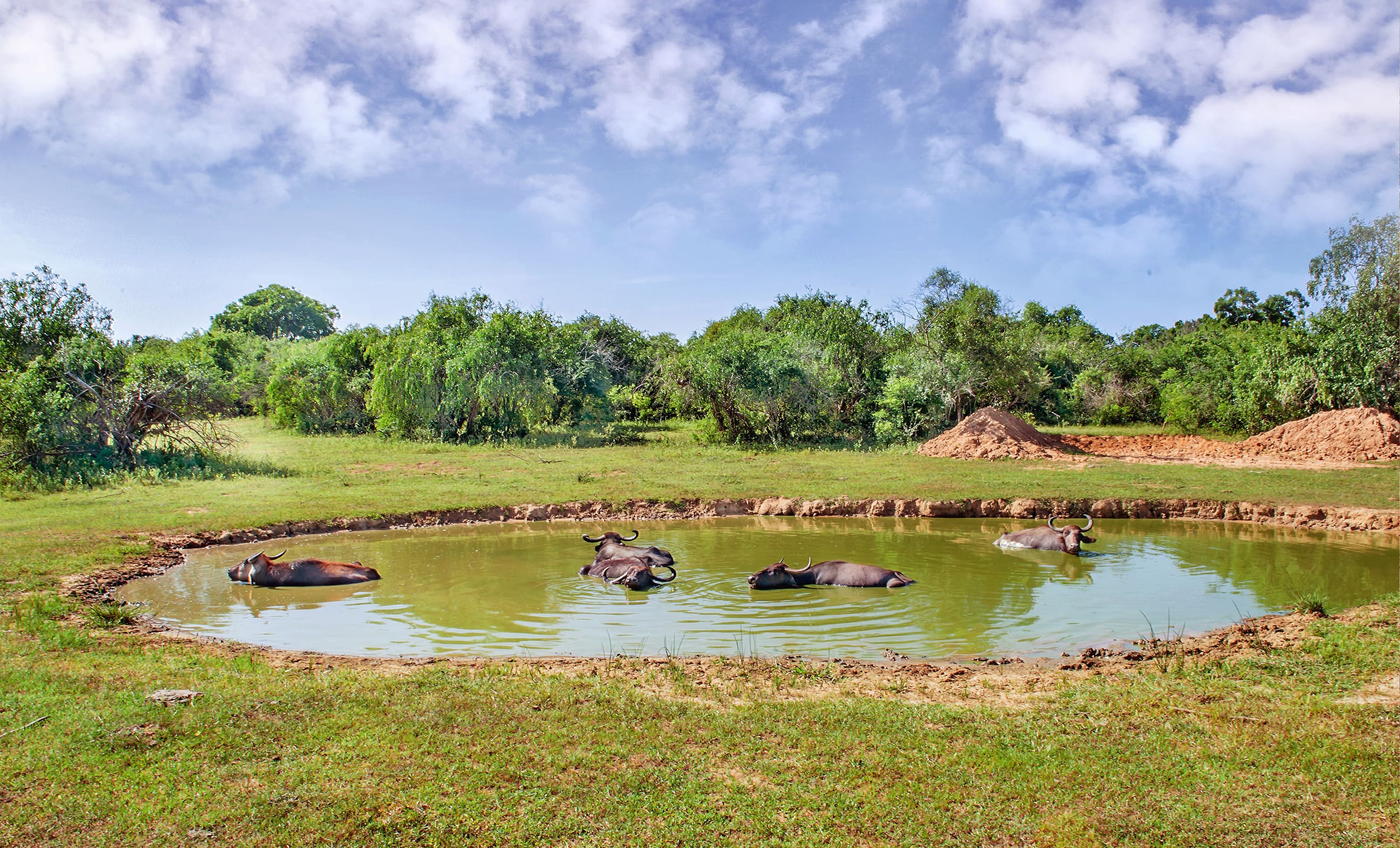 Visita por el parque zoológico de Terra Natura