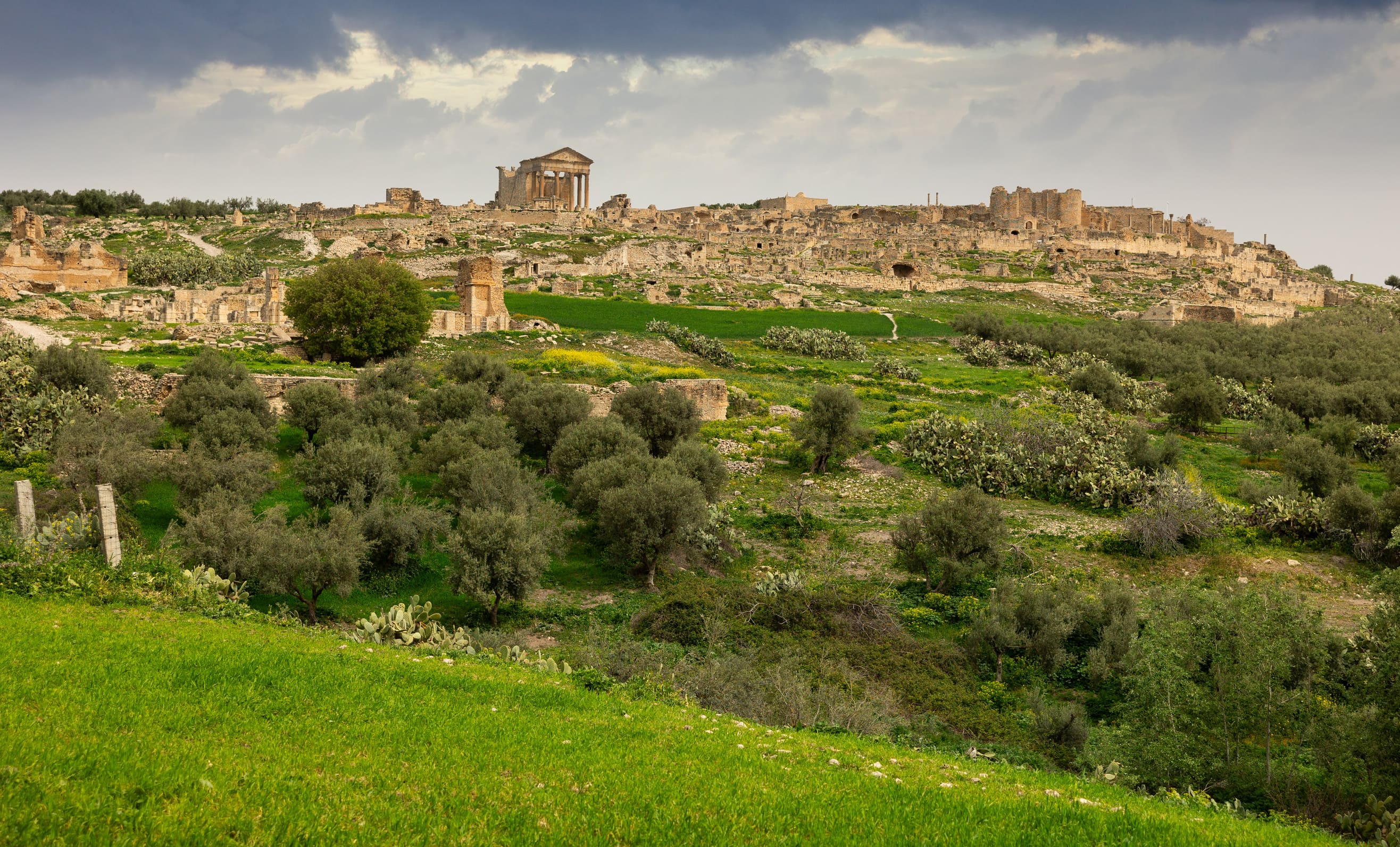 Visita por el parque zoológico de Terra Natura