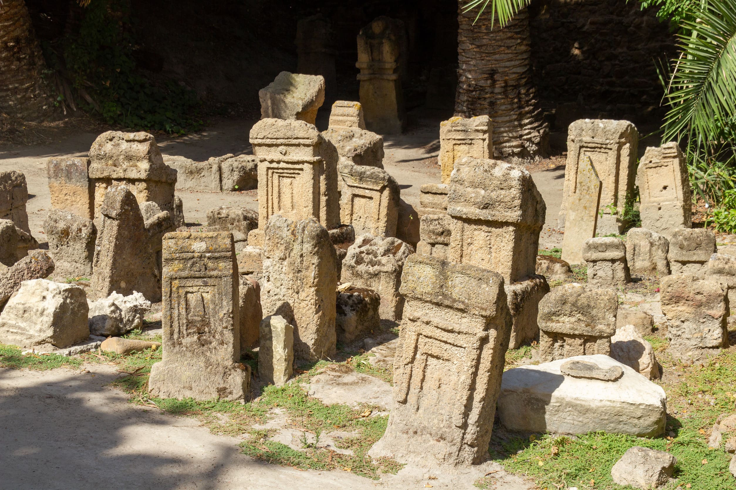 Visita por el parque zoológico de Terra Natura
