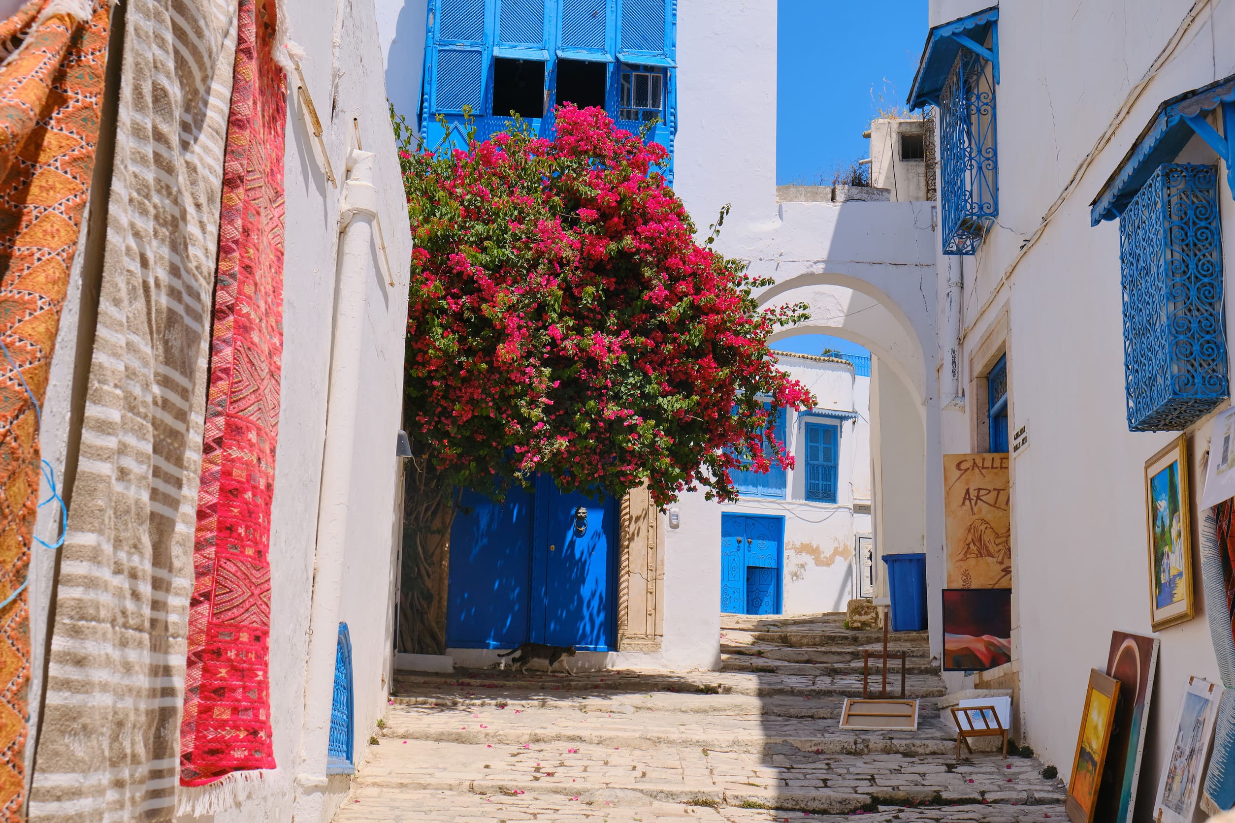 Visita por el parque zoológico de Terra Natura