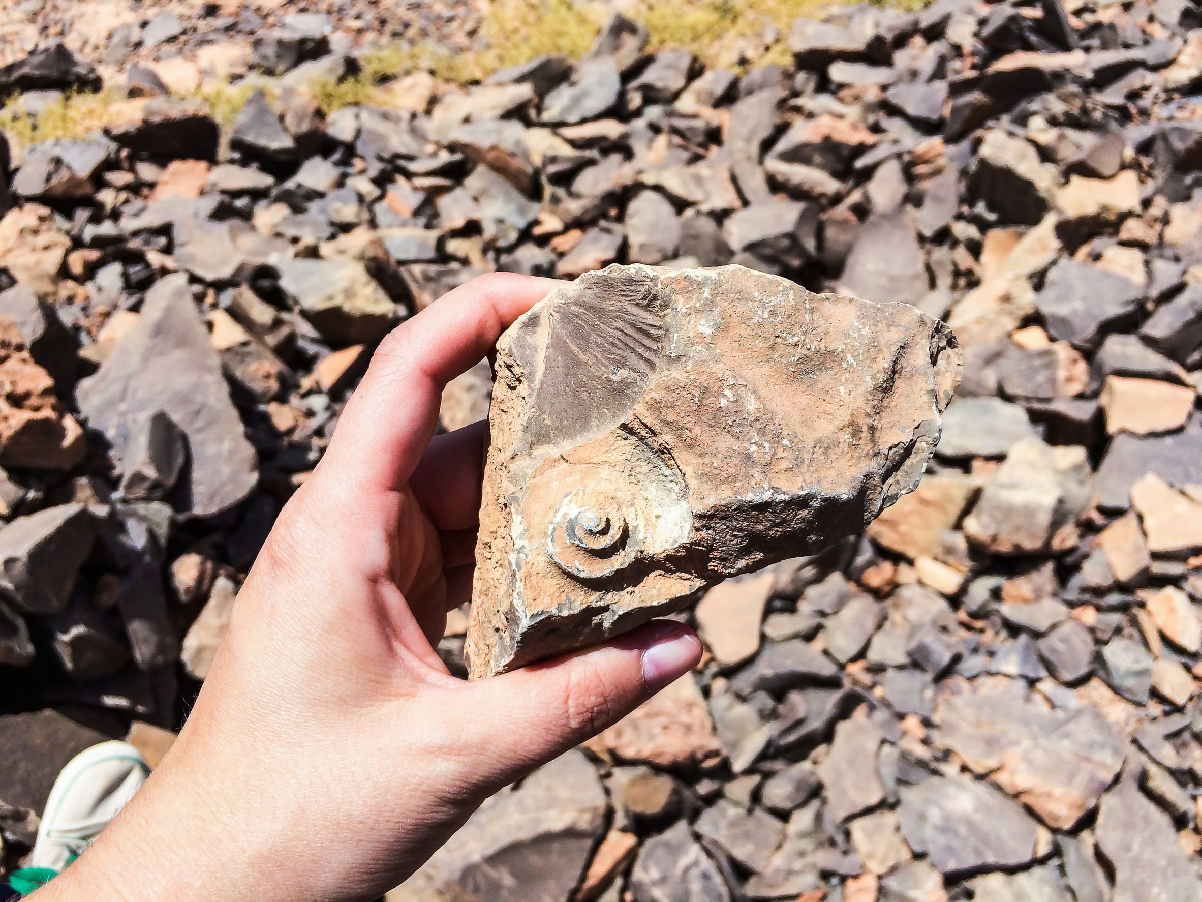Visita por el parque zoológico de Terra Natura