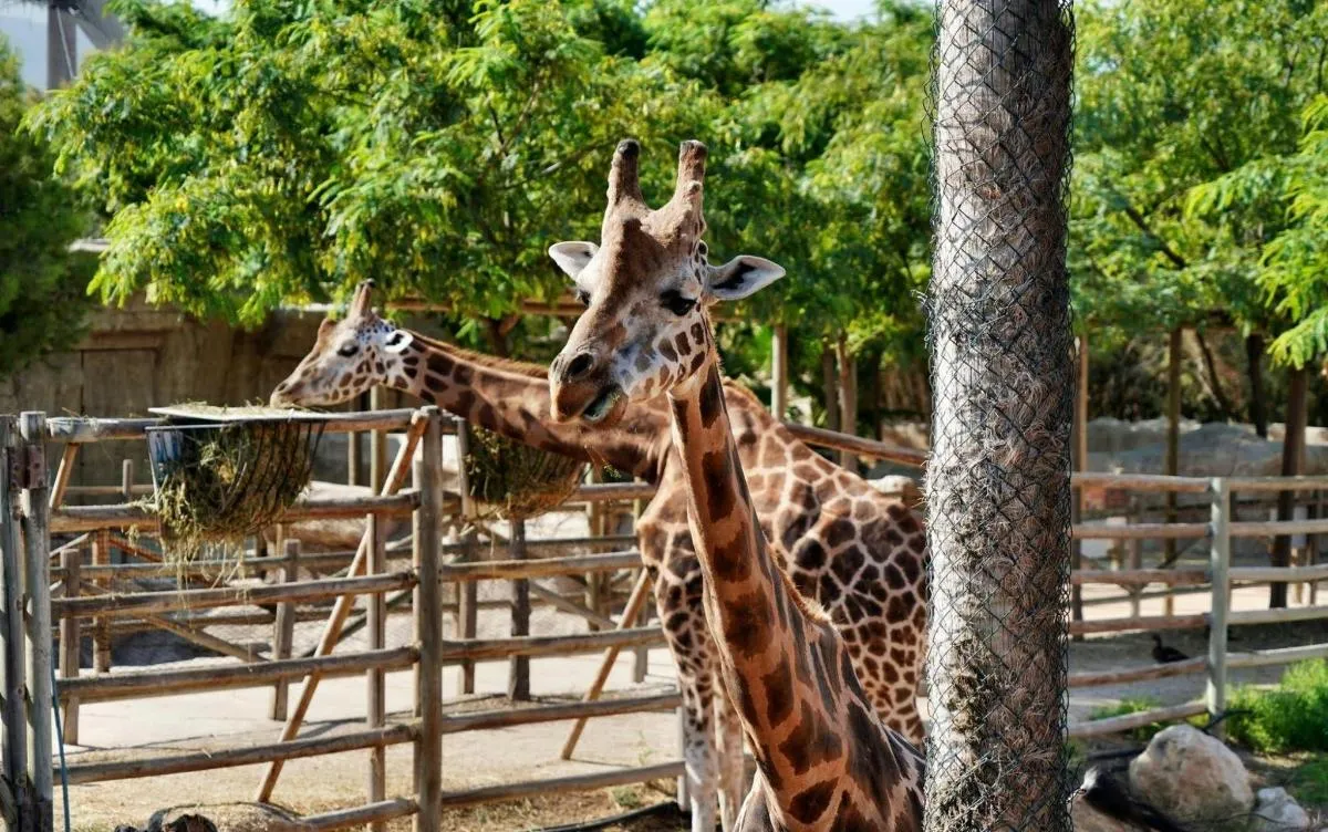 Visita por el parque zoológico de Terra Natura