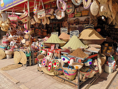 Visita por el parque zoológico de Terra Natura
