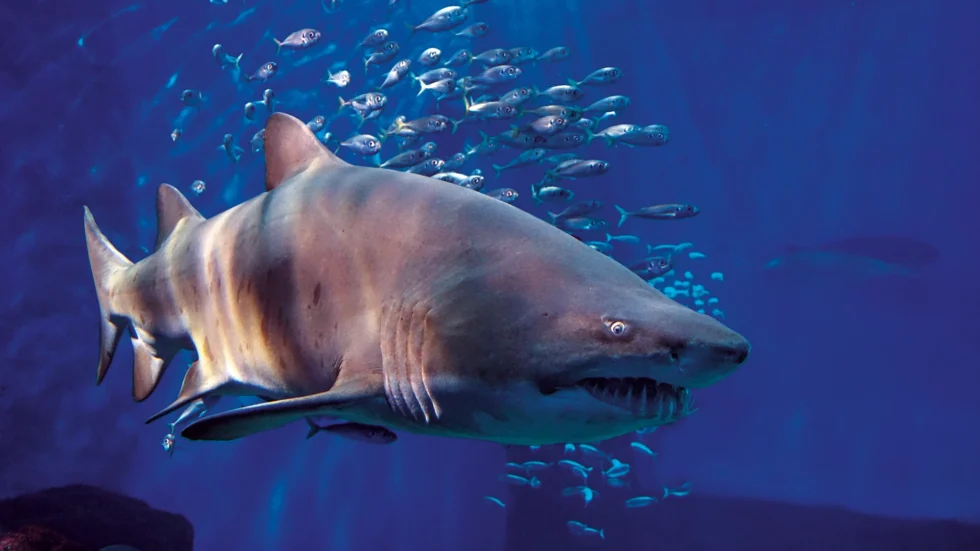 Ruta por el Caminito del Rey