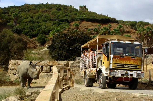 Oceanogràfic Valencia 2
