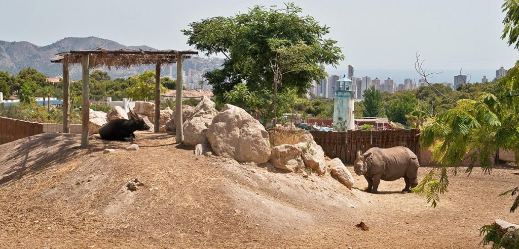 Oceanogràfic Valencia