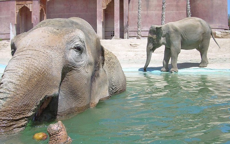 Oceanogràfic Valencia 2