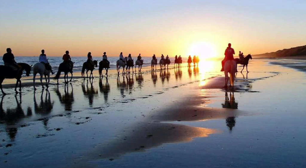 Paseo por el Parque Natural de Doñana