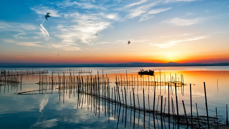 Parque Natural la Albufera
