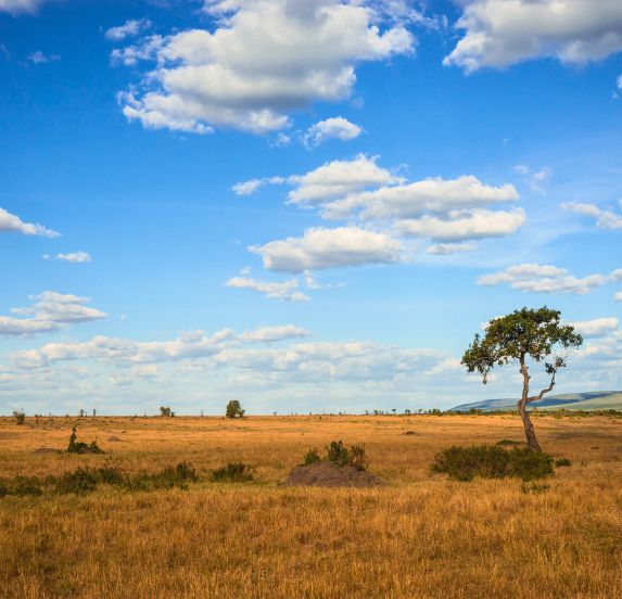 Masai Mara