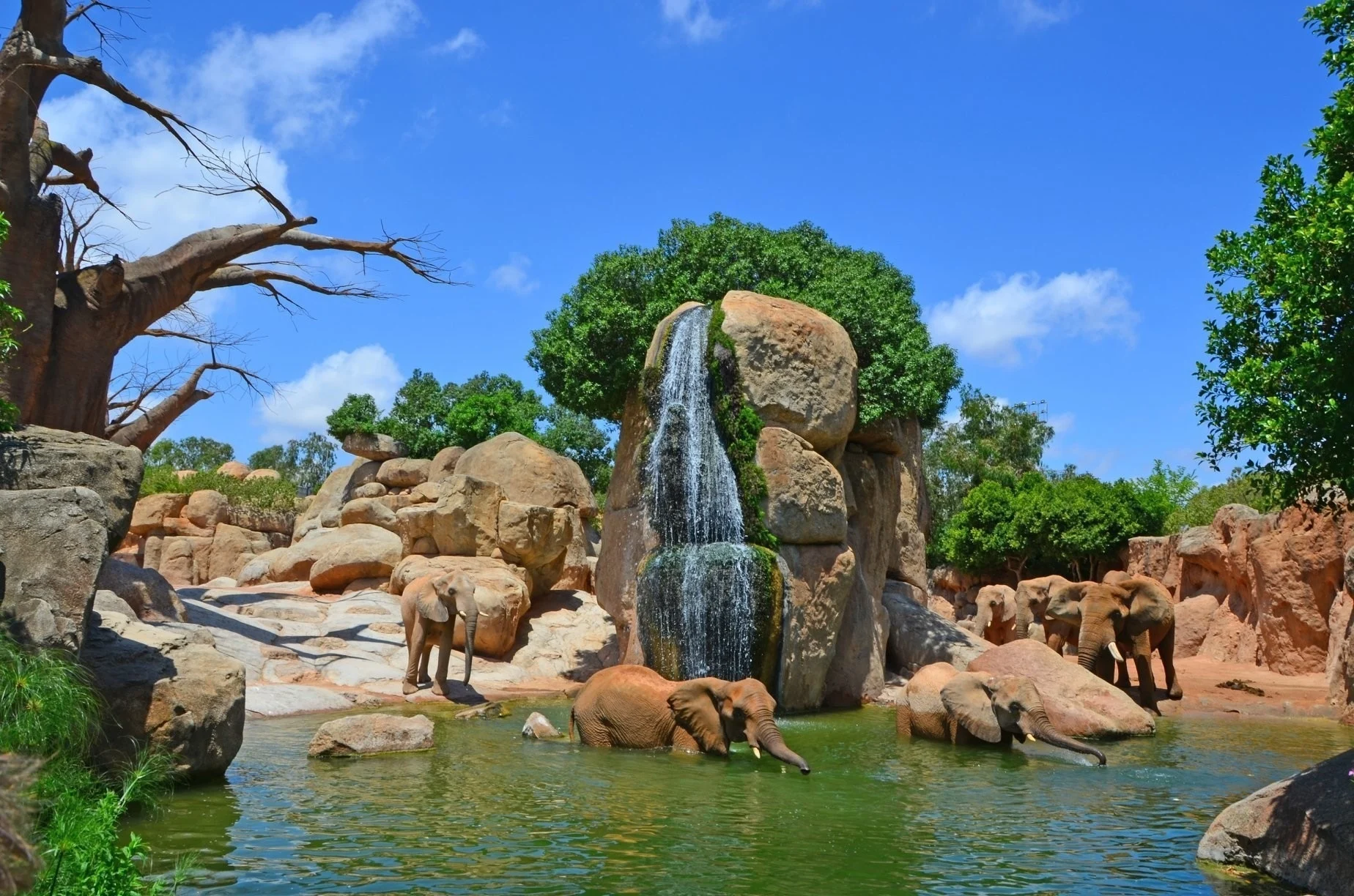 Bioparc Valencia 2