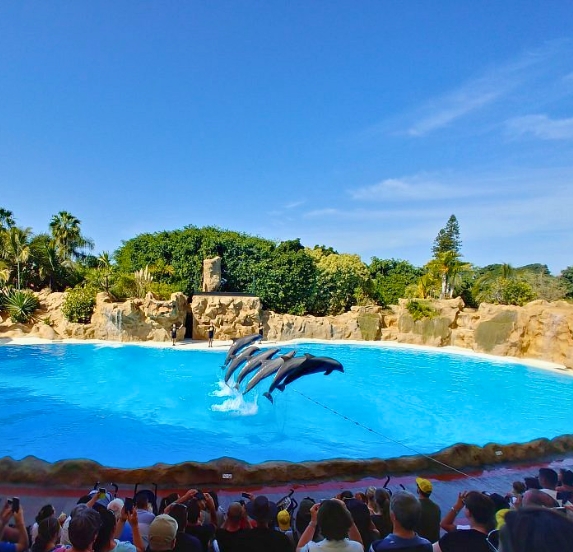 Loro Parque
