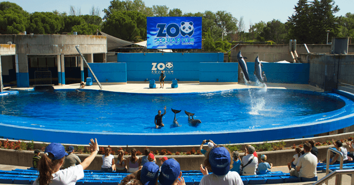 Zoo