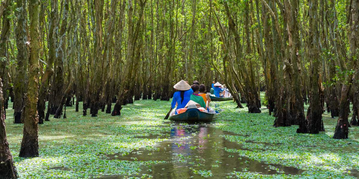 Delta del Mekong