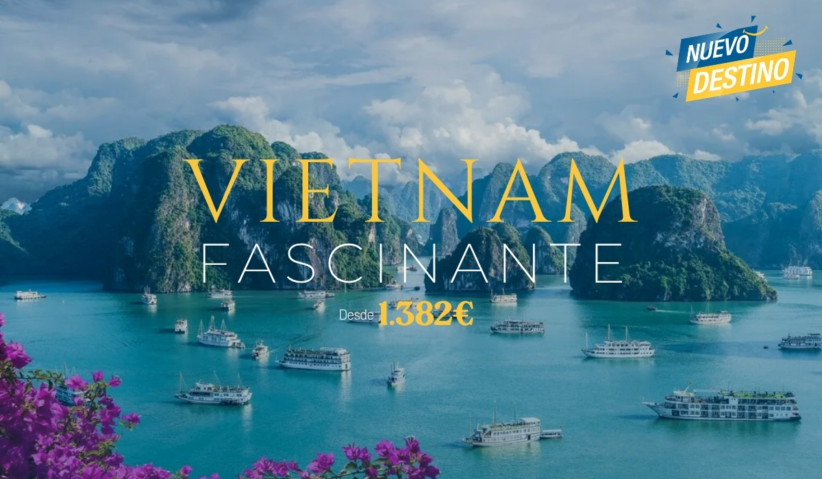 Pop Up Vietnam