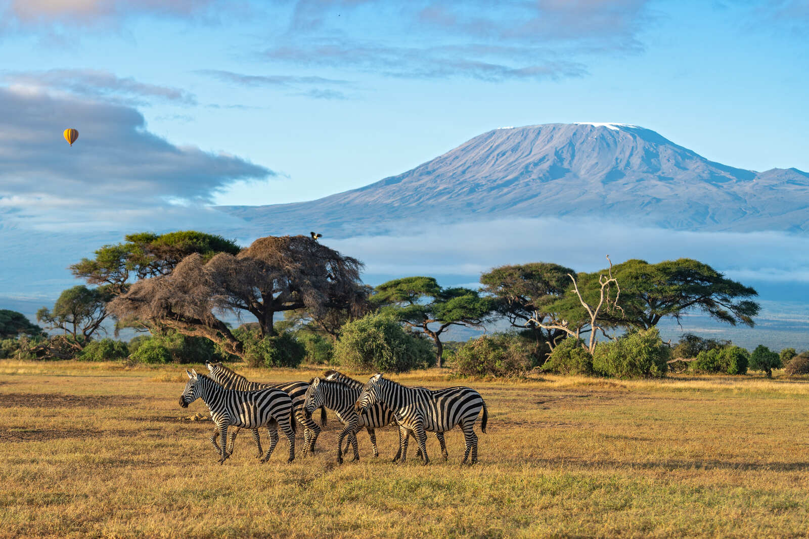 safari en Masái Mara