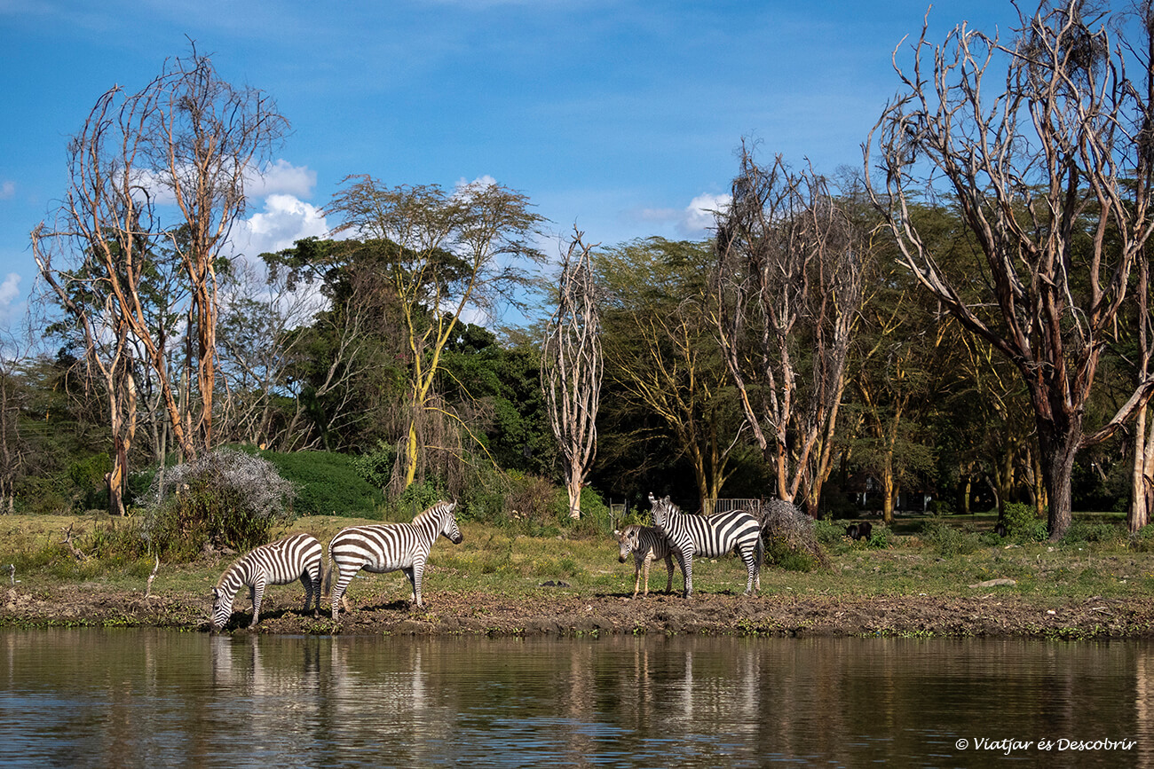 Lago Naivasha